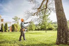 Best Lot and Land Clearing  in Nedrow, NY