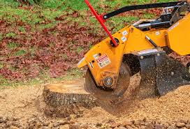 Best Soil Testing and Treatment  in Nedrow, NY